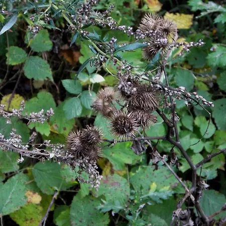 Mountainview Ski, & Thermal Bansko