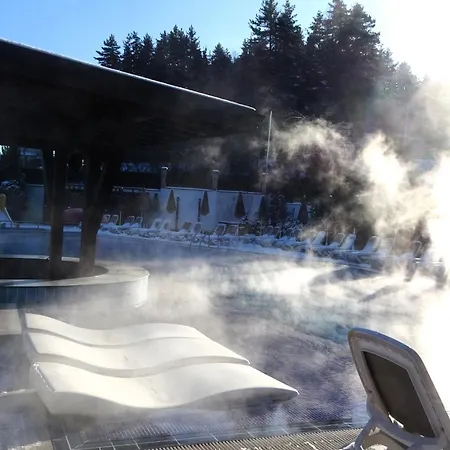 Mountainview Ski, & Thermal アパート