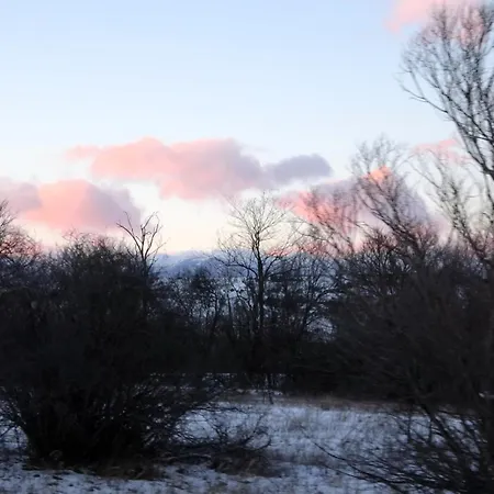 アパート Mountainview Ski, & Thermal バンスコ