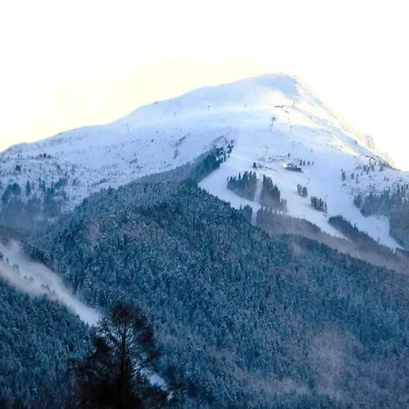 Mountainview Ski, & Thermal アパート