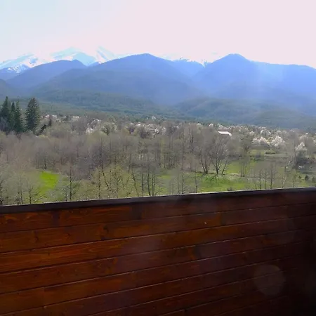 Mountainview *