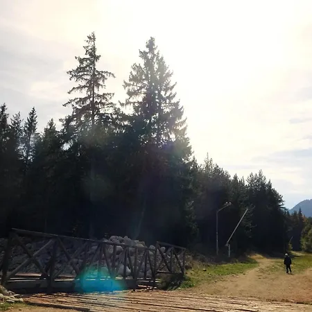 Mountainview バンスコ