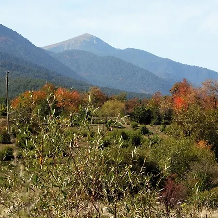 アパート Mountainview