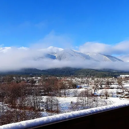 Mountainview * バンスコ